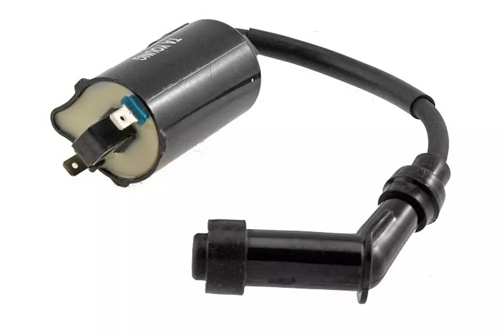 2026_06_19_1255303