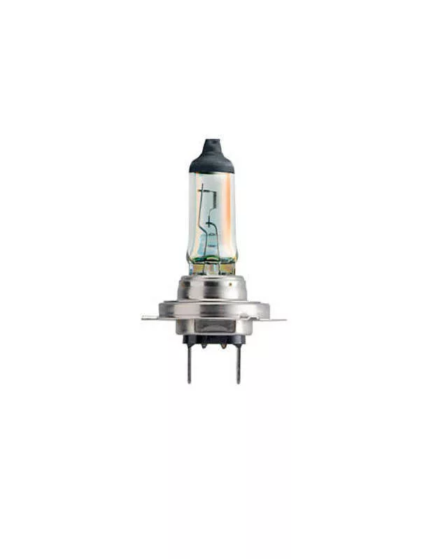 2026_06_19_1277679