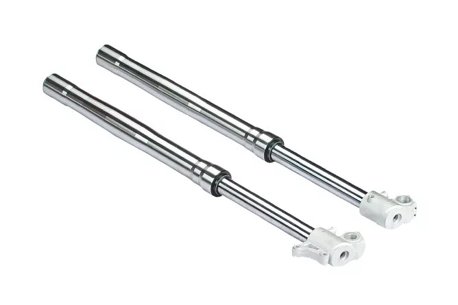 2026_06_19_1486785